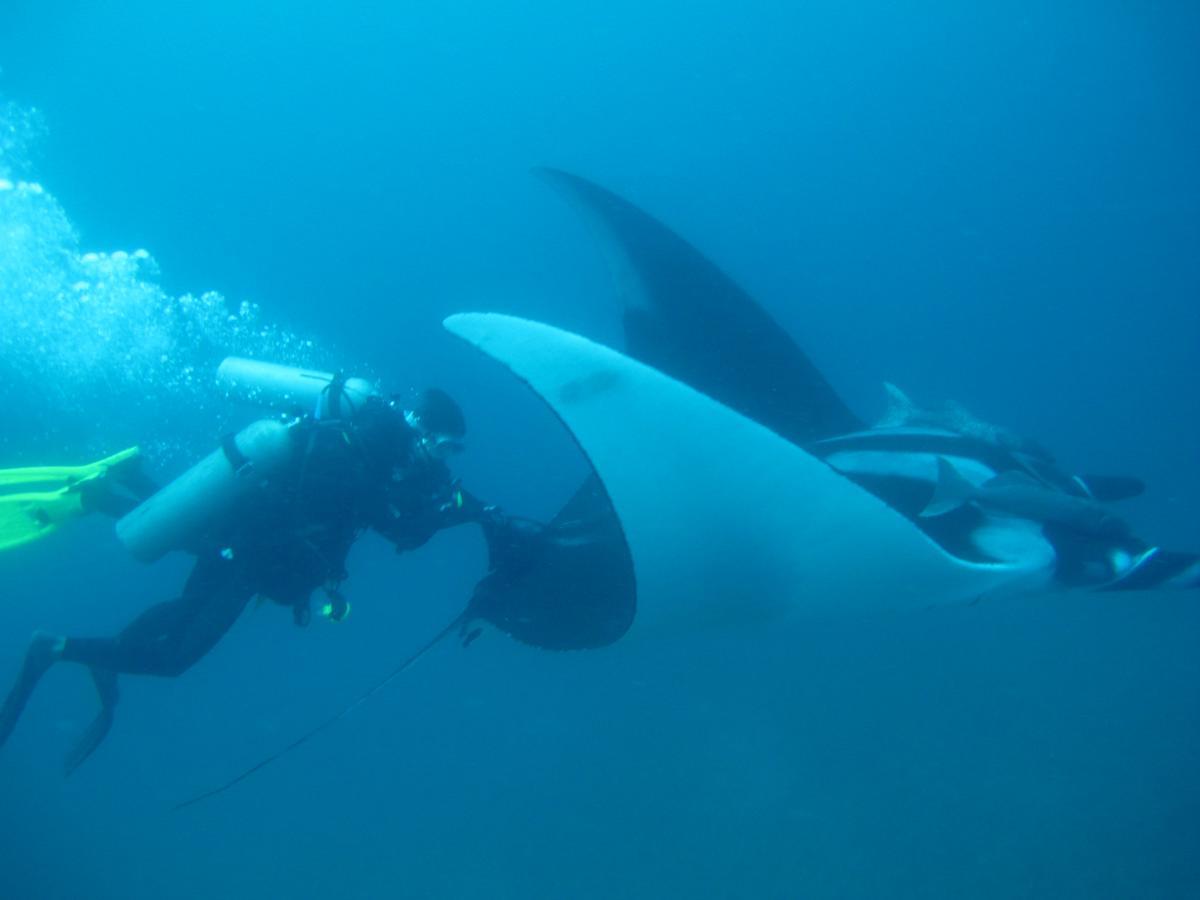 Mantaraya Lodge Puerto López Eksteriør billede